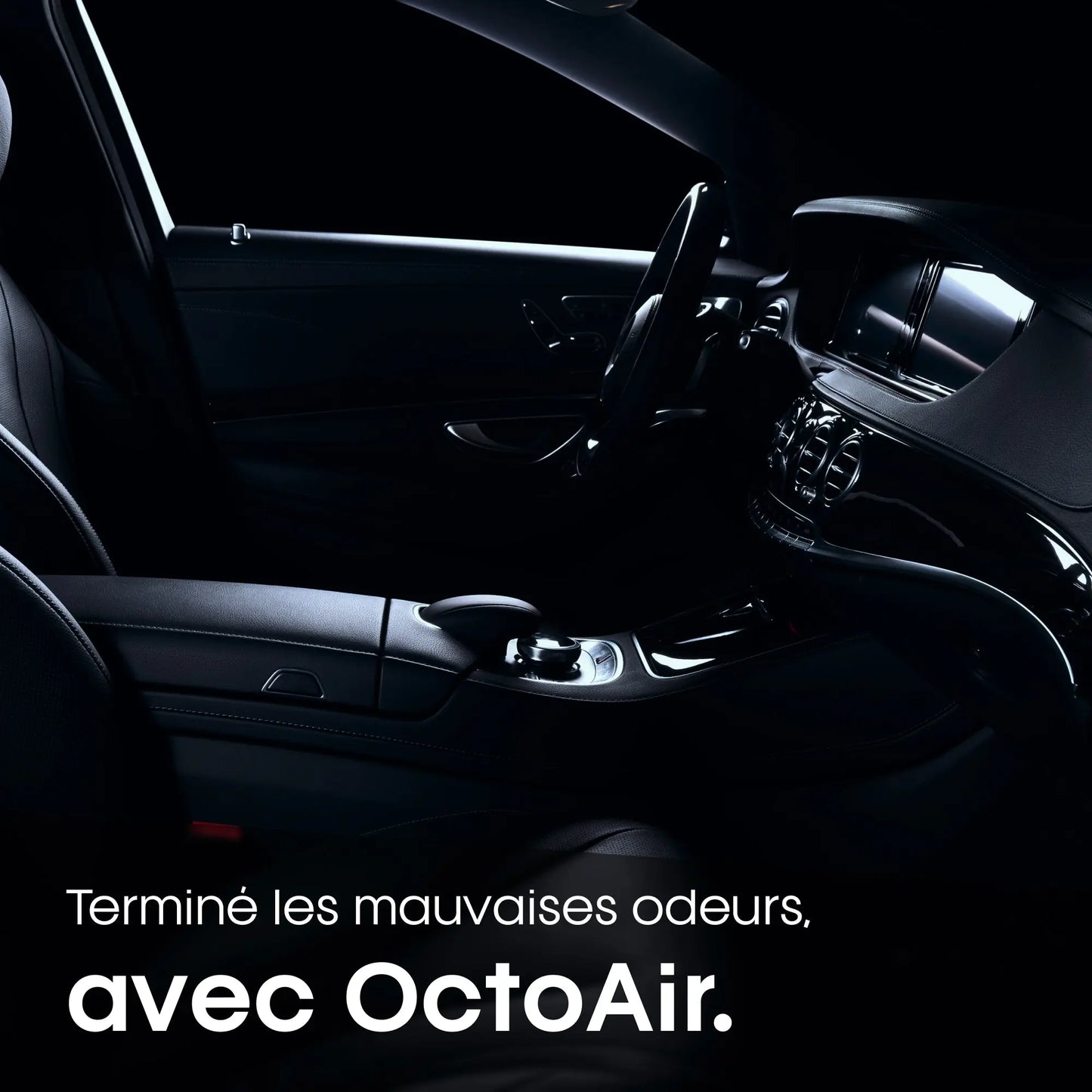 OctoAir - Destructeur d’Odeurs Efficace | Élimine Fumée, Animaux et Humidité