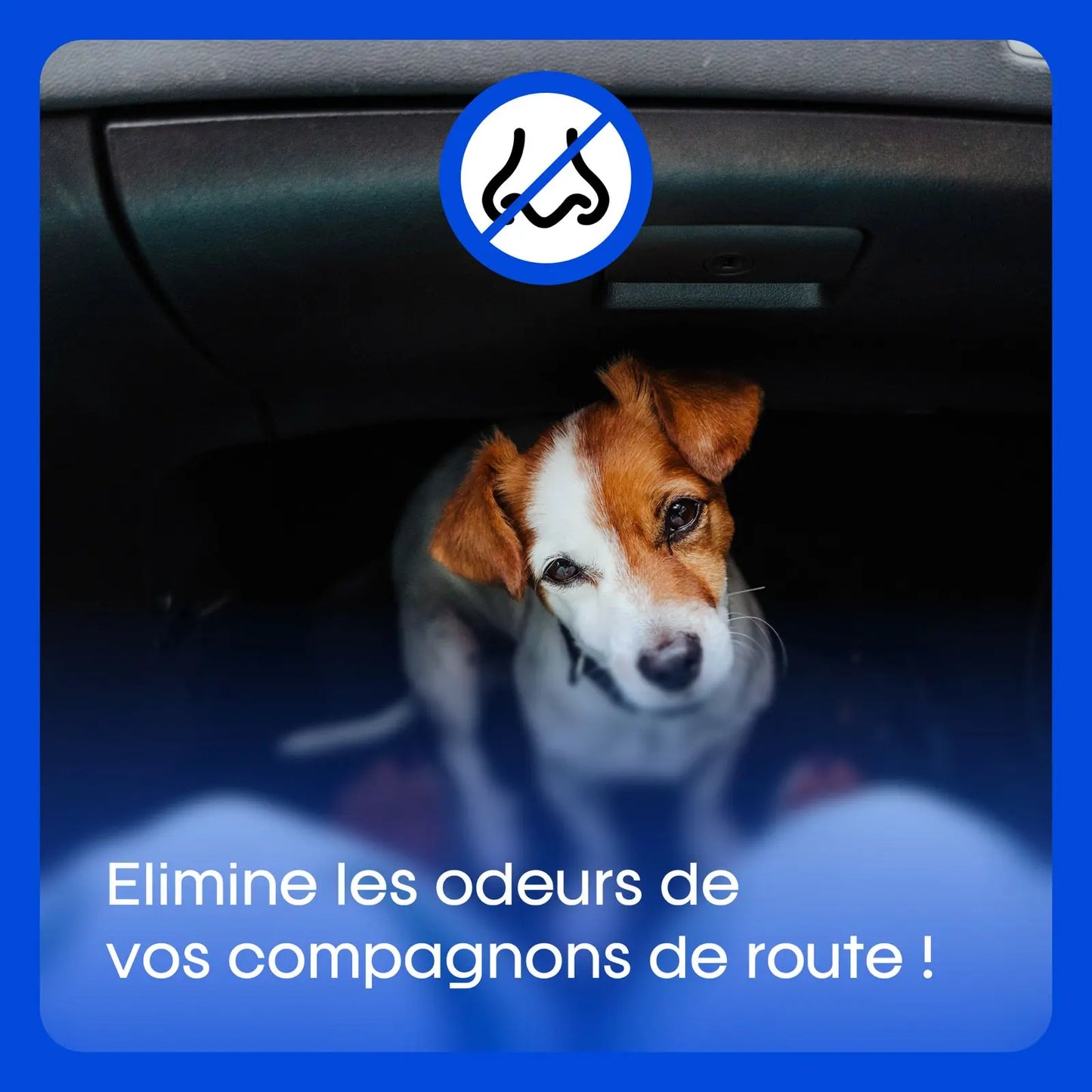 OctoAir - Destructeur d’Odeurs Efficace | Élimine Fumée, Animaux et Humidité