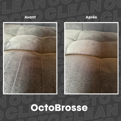 Brosse anti-poils d’animaux en silicone